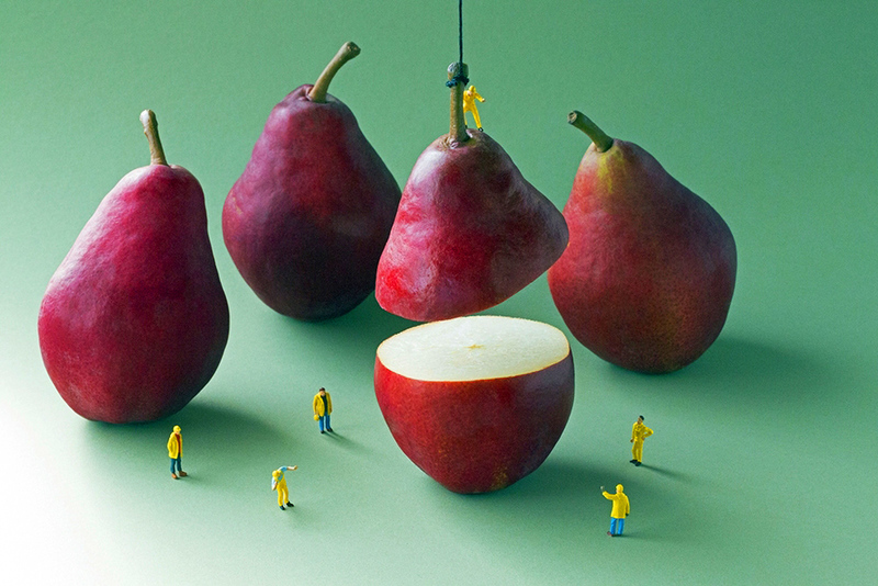 FOOD AS LANDSCAPES LESSONS BeautifulNow
