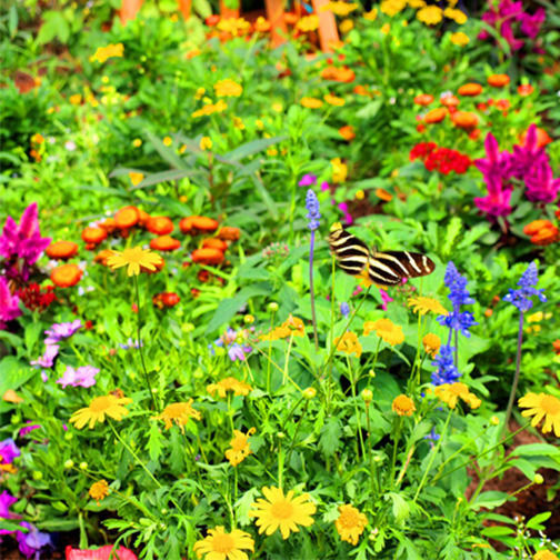 BEAUTIFUL GARDENS | BeautifulNow