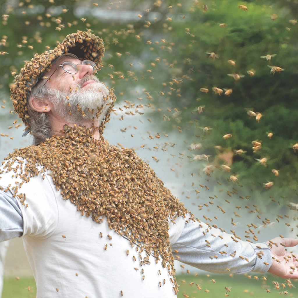 Saving the with Mushrooms & Bees! BeautifulNow
