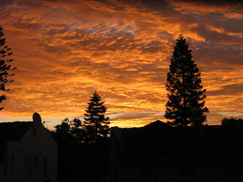 Israel Sunrise and silhouettes. 