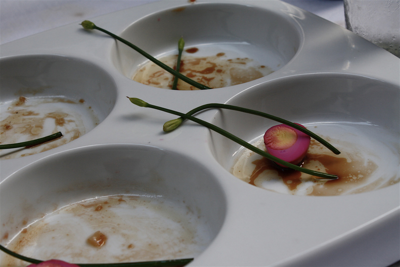 Tiny Quail Eggs Beat Chicken Eggs! BeautifulNow